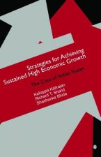 Strategies for Achieving Sustained High Economic Growth