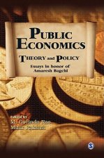 Public Economics