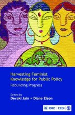 Harvesting Feminist Knowledge for Public Policy