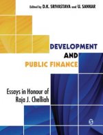 Development and Public Finance