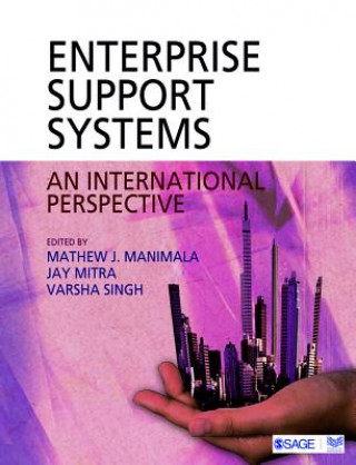 Enterprise Support Systems