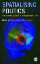 Spatialising Politics