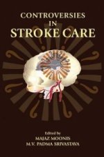 Controversies in Stroke Care