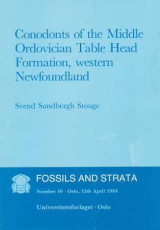 Conodonts of the Middle Ordovician Table Head Formation, Western Newfoundland