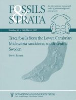 Trace Fossils from the Lower Cambrian Mickwitzia Sandstone, South-Central Sweden