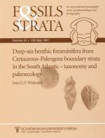 Deep-sea Benthic Foraminifera from Cretaceous - Paleogene Boundary Strata in the South Atlantic - Taxonomy and Paleoecology