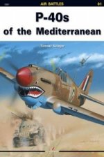 P-40s of the Mediterranean