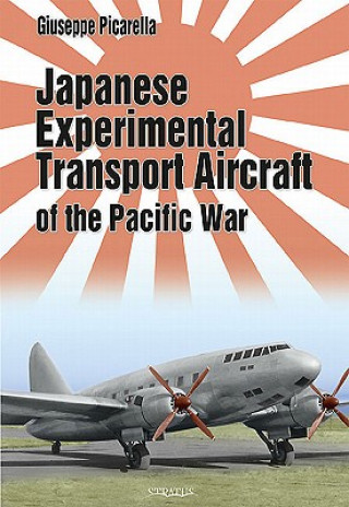 Japanese Experimental Transport Aircraft