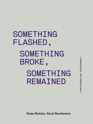 Something Flashed, Something Broke, Something Re - Consciousness Neue Bieriemiennost