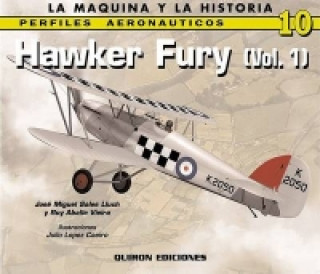 Hawker Fury (I)