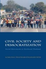 Civil Society and Democratization