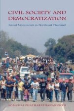 Civil Society and Democratization
