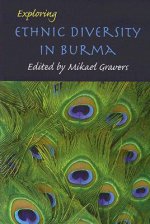 Exploring Ethnic Diversity in Burma