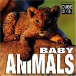 Baby Animals