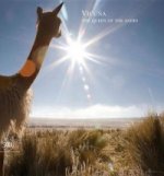 Vicuna