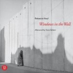 Windows in the Wall