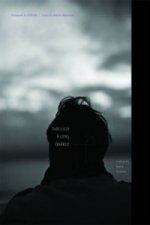 Dreaming of Ingmar Bergman