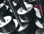 Rodchenko Photographs