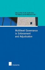 Multilevel Governance in Enforcement and Adjudication