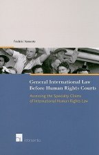 General International Law Before Human Rights Courts
