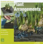 Plant Arrangements: Creativity With Flowers