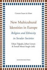 New Multicultural Identities in Europe