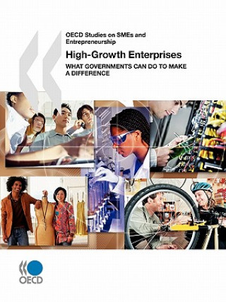 OECD Studies on Smes and Entrepreneurship