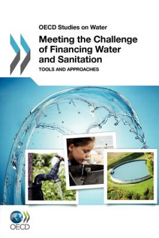 Meeting the Challenge of Financing Water and Sanitation