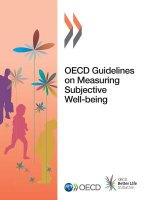 OECD guidelines on measuring subjective well-being