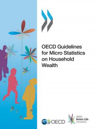 OECD guidelines for micro statistics on household wealth