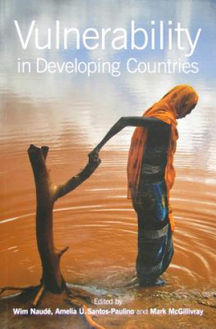 Vulnerability in Developing Countries