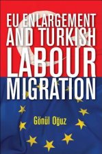 EU enlargement and Turkish labour migration