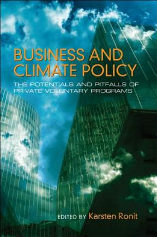 Business and climate policy