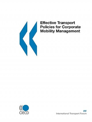Effective Transport Policies for Corporate Mobility Management