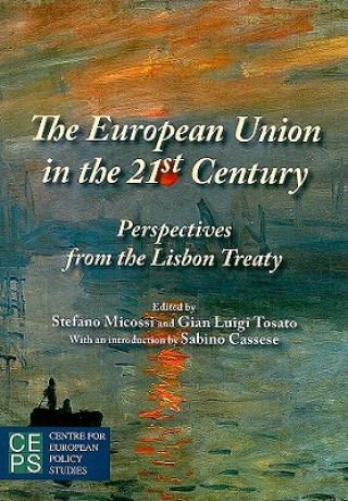 European Union in the 21st Century
