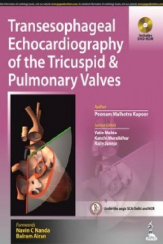 Transesophageal Echocardiography of the Tricuspid & Pulmonary Valves