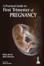 Practical Guide to First Trimester of Pregnancy