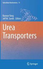 Urea Transporters