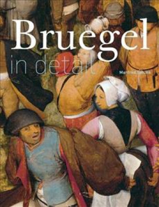 Bruegel in Detail