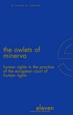 Owlets of Minerva