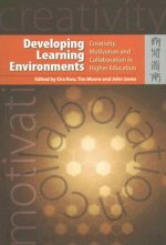 Developing Learning Environments - Creativity, Motivation, and Collaboration in Higher Education