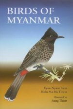 Birds of Myanmar