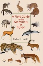 Field Guide to the Mammals of Egypt