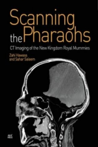 Scanning the Pharaohs