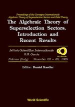 Algebraic Theory of Superselection Sectors