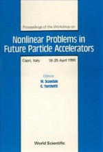 Nonlinear Problems in Future Particle Accelerators