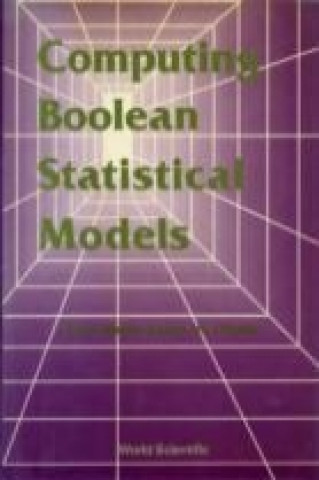 Computing Boolean Statistical Models