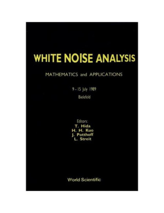 White Noise Analysis