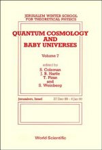 Quantum Cosmology and Baby Universes