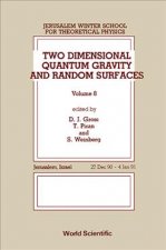 Two Dimensional Quantum Gravity and Random Surfaces